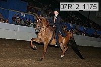 07r12_1175 proof