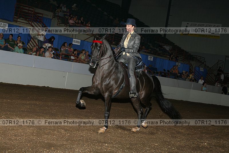 Proof 07r12_1176