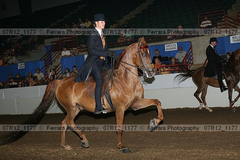 Proof 07r12_1177
