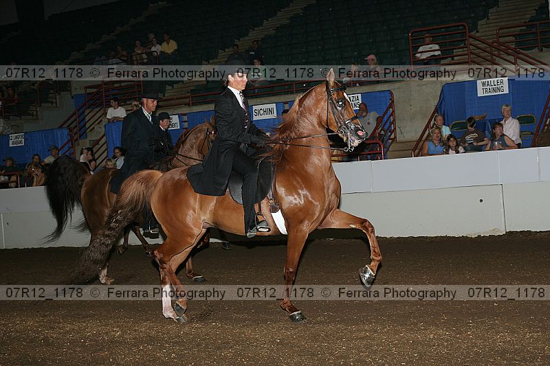 Proof 07r12_1178