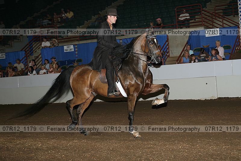 Proof 07r12_1179