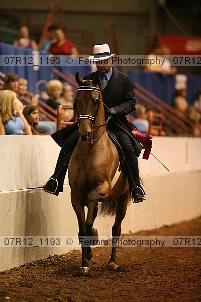 Proof 07r12_1193