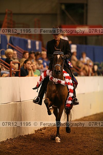 Proof 07r12_1195