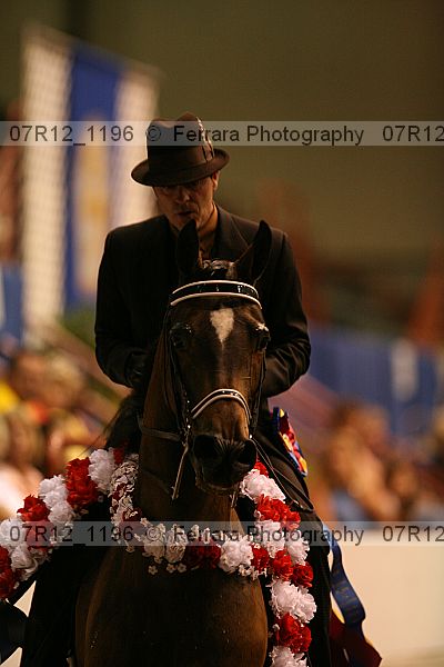 Proof 07r12_1196