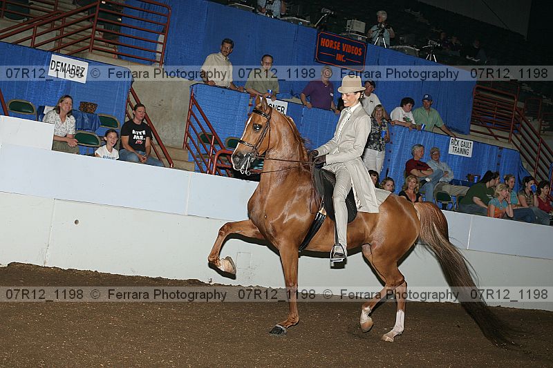 Proof 07r12_1198