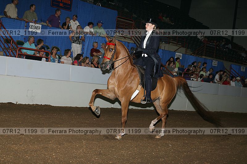 Proof 07r12_1199