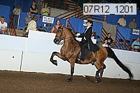 07r12_1201 proof