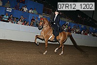 07r12_1202 proof