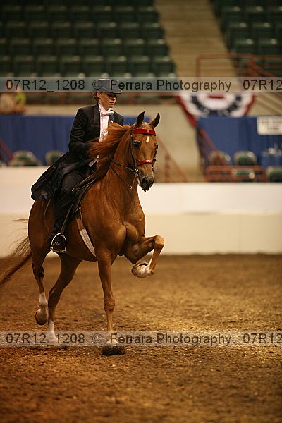 Proof 07r12_1208