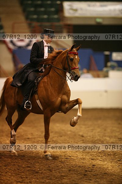 Proof 07r12_1209