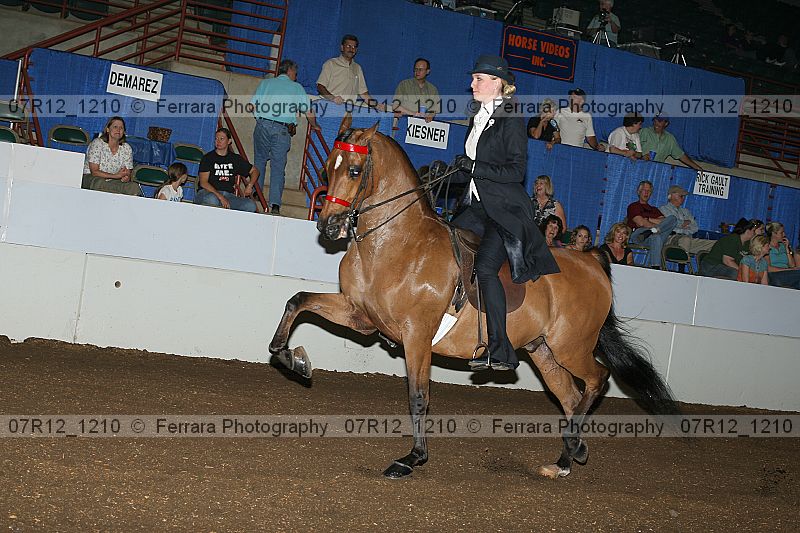 Proof 07r12_1210