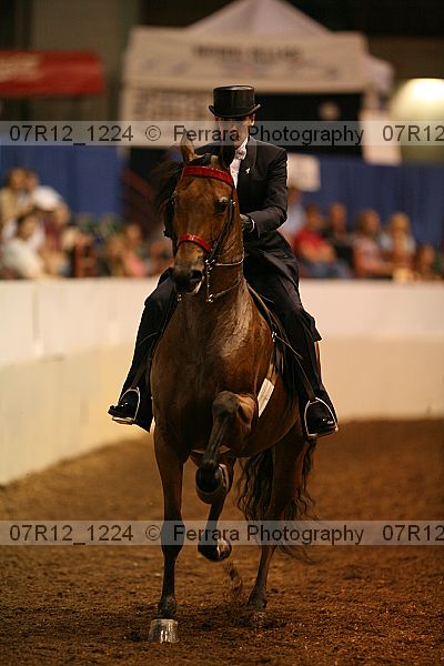 Proof 07r12_1224