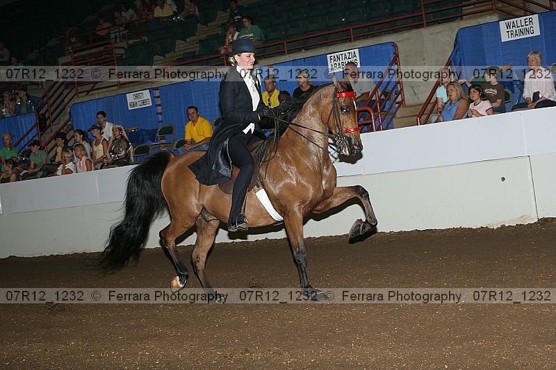Proof 07r12_1232