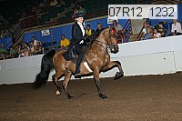 07r12_1232 proof