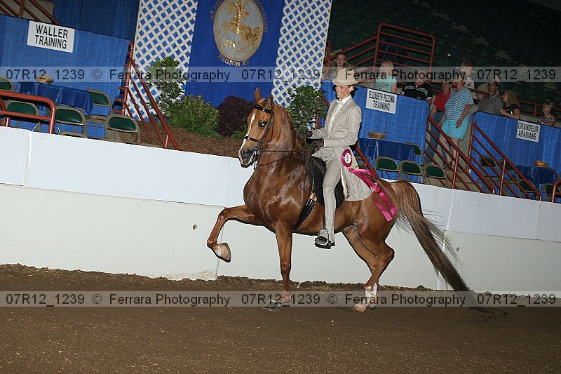 Proof 07r12_1239
