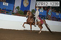 07r12_1239 proof