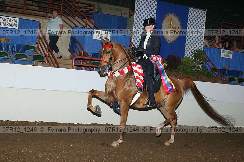Proof 07r12_1246