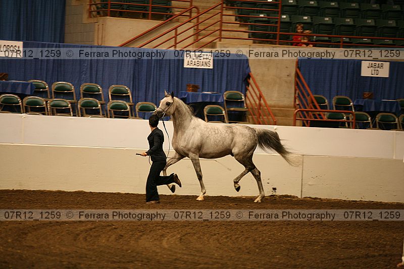 Proof 07r12_1259