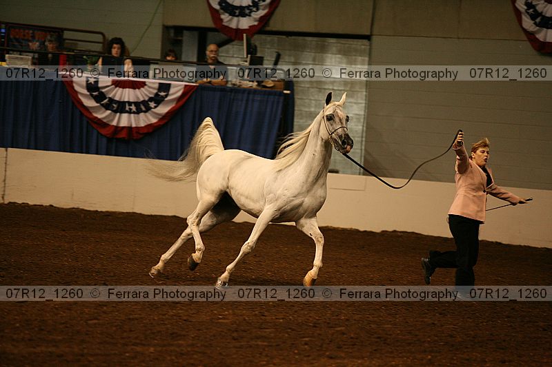 Proof 07r12_1260