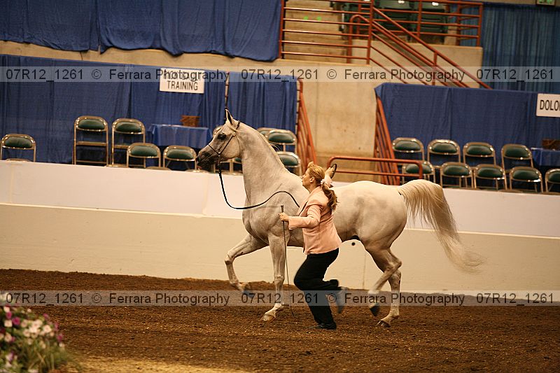 Proof 07r12_1261