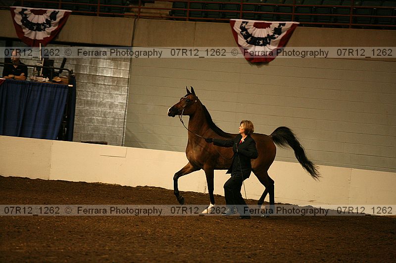 Proof 07r12_1262