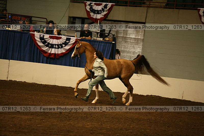 Proof 07r12_1263