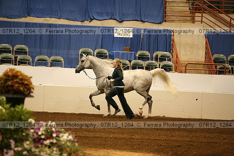 Proof 07r12_1264