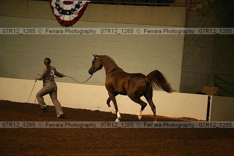 Proof 07r12_1265