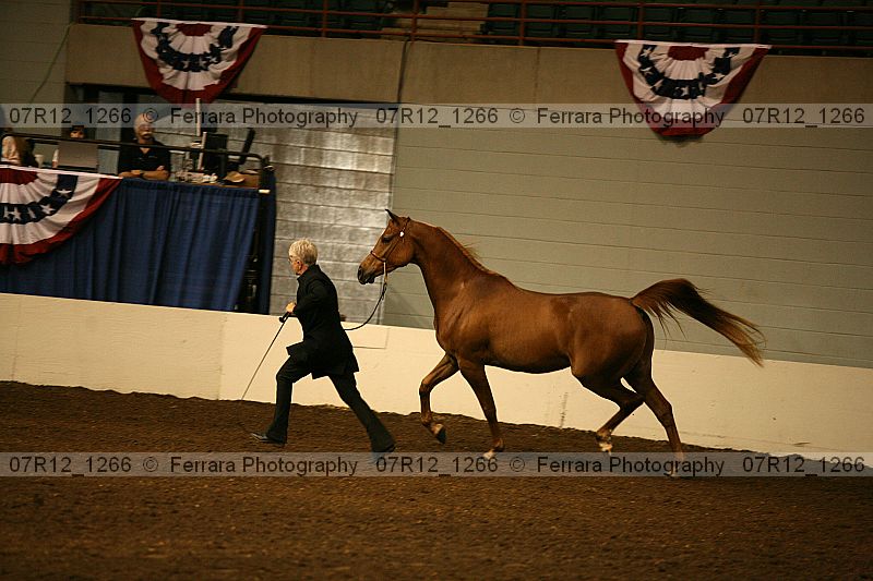 Proof 07r12_1266