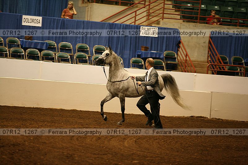 Proof 07r12_1267