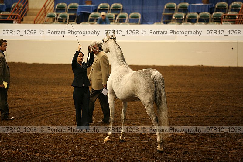 Proof 07r12_1268