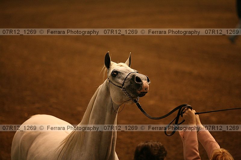 Proof 07r12_1269