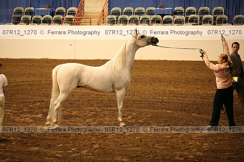 Proof 07r12_1270