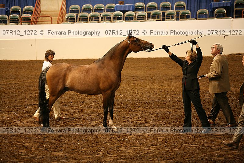 Proof 07r12_1272