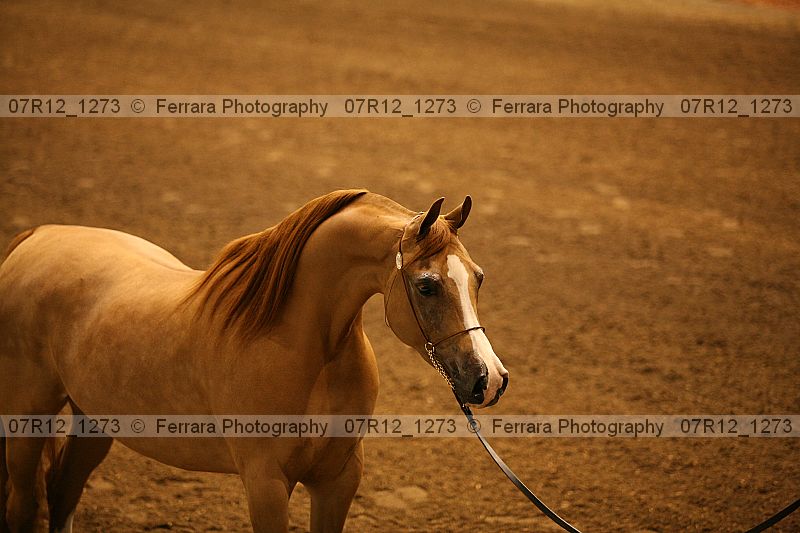 Proof 07r12_1273
