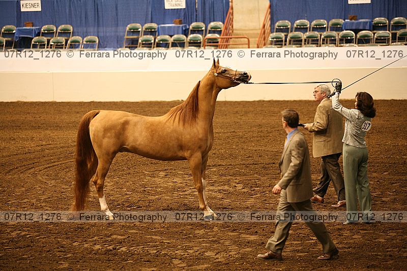 Proof 07r12_1276