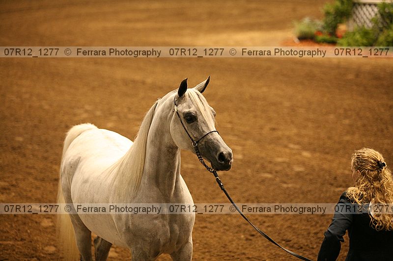 Proof 07r12_1277