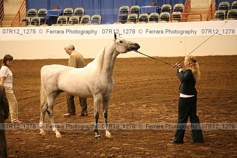 Proof 07r12_1278