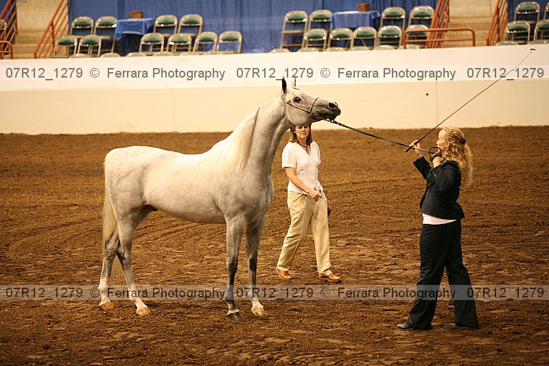 Proof 07r12_1279