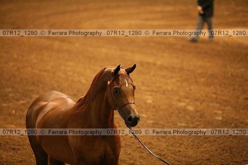 Proof 07r12_1280