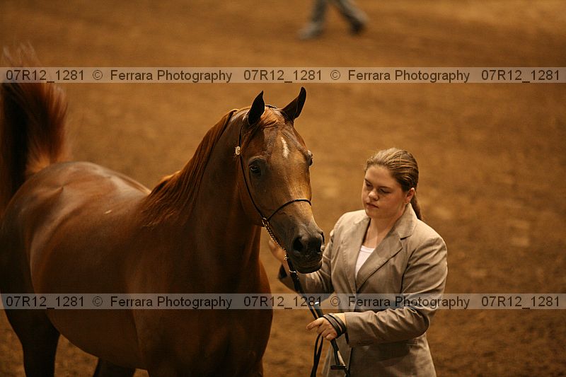 Proof 07r12_1281