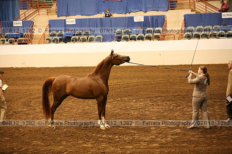 Proof 07r12_1282