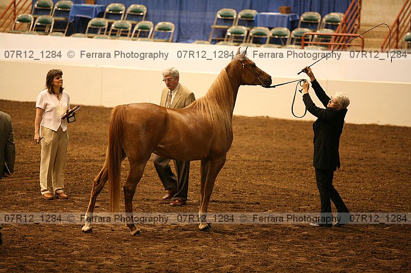 Proof 07r12_1284