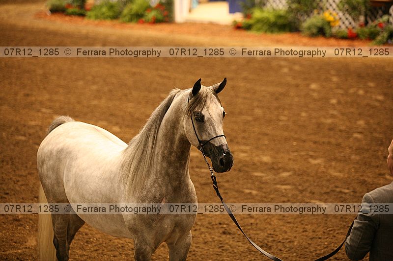 Proof 07r12_1285
