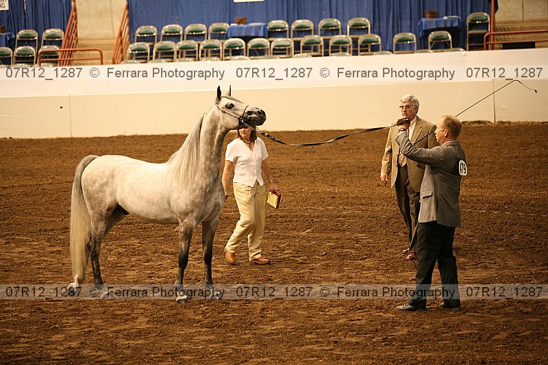 Proof 07r12_1287