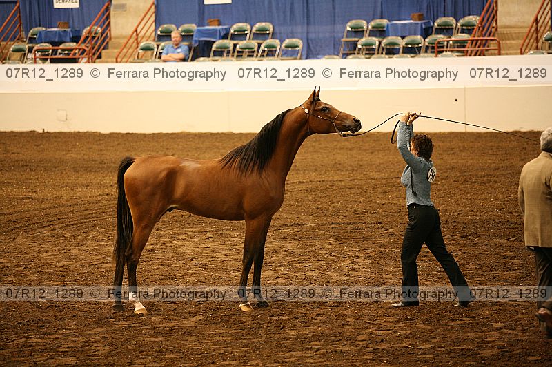 Proof 07r12_1289