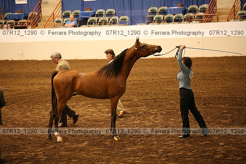 Proof 07r12_1290