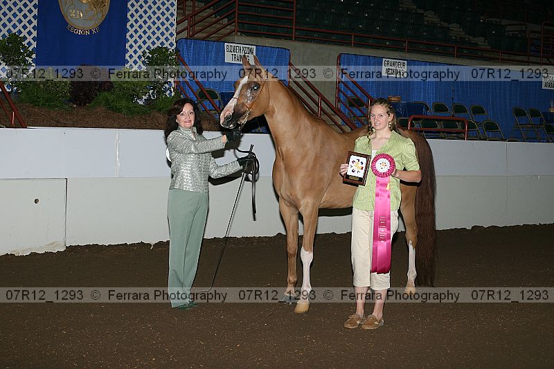 Proof 07r12_1293