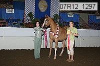 07r12_1297 proof