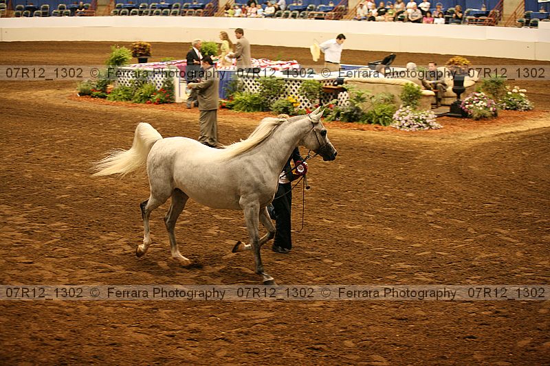 Proof 07r12_1302